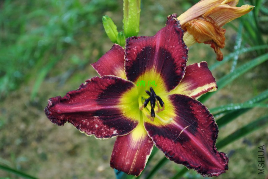 F1-774��ҹ�ʵ� (1).jpg