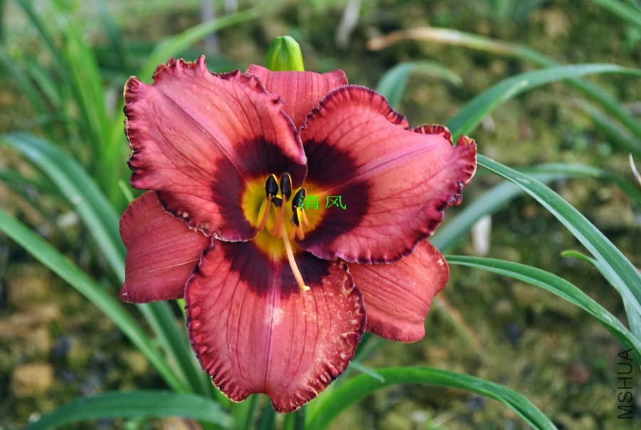 F1-773��֬�ʵ�1 (6).jpg