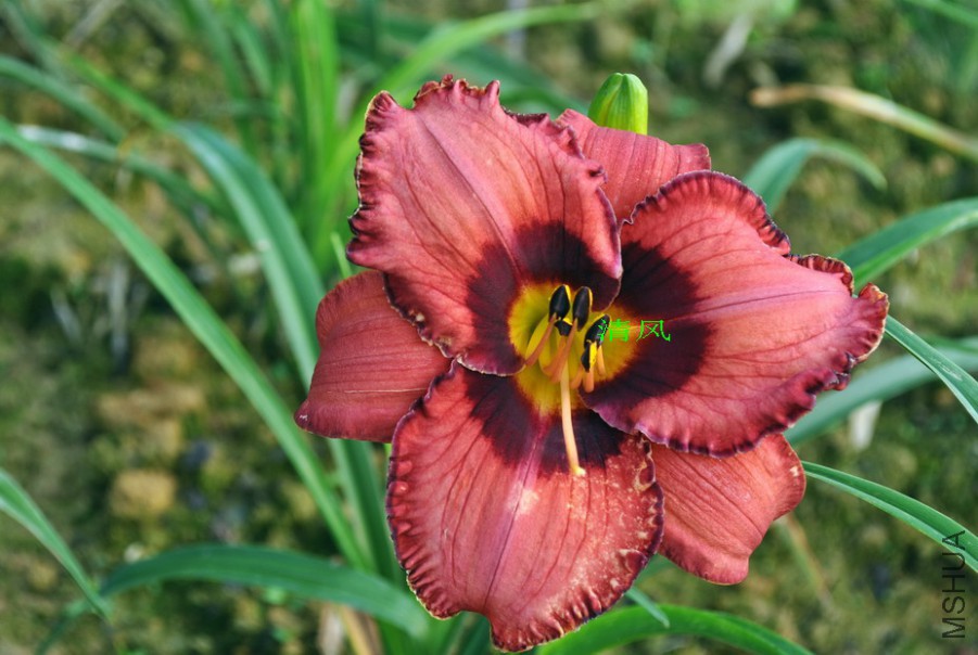 F1-773��֬�ʵ�1 (7).jpg