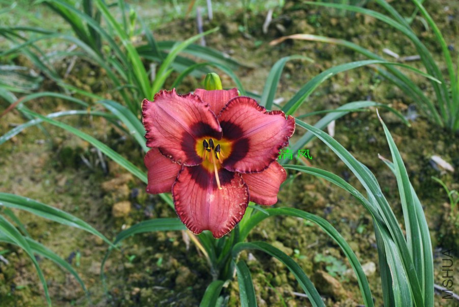 F1-773��֬�ʵ�1 (8).jpg