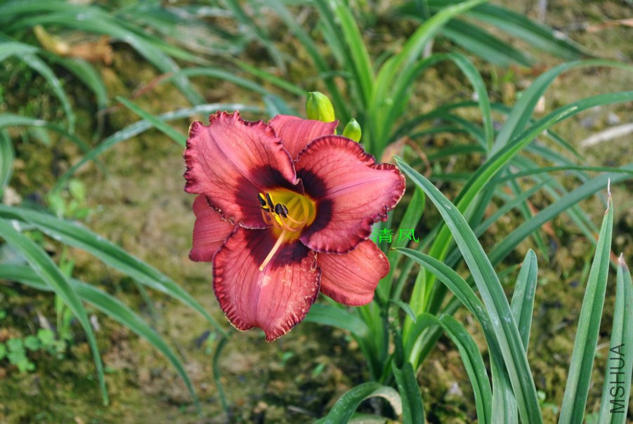 F1-773��֬�ʵ�1 (9).jpg