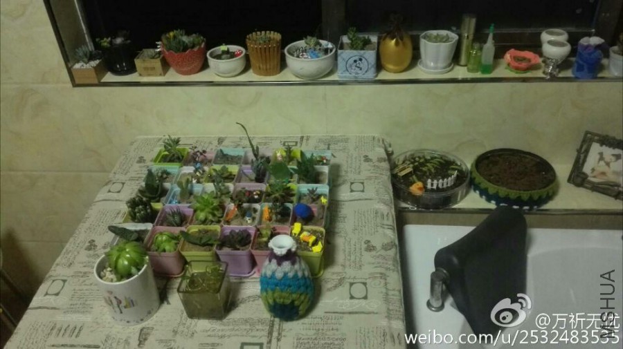 QQͼƬ20150526095521.jpg