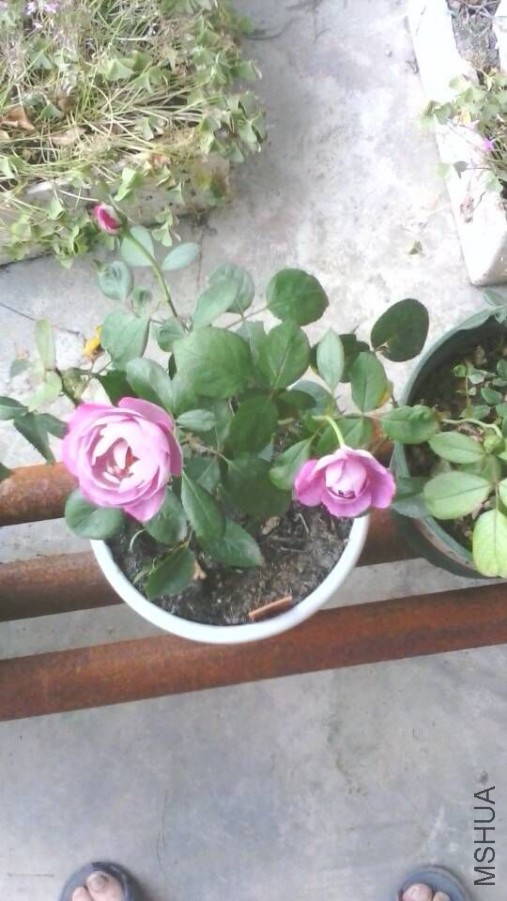 QQͼƬ20150526101504.jpg