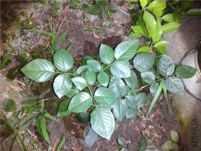2015-05-25 19.27.25.jpg