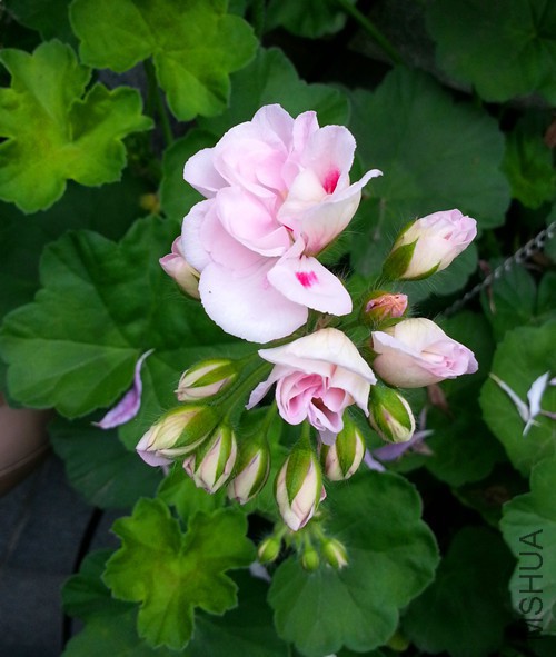 ���ÿ���ͬ�ķ�20150526B.jpg