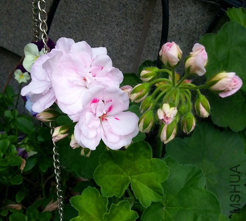 ���ÿ���ͬ�ķ�20150526C.jpg