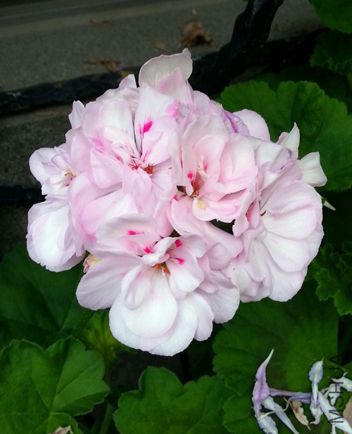 ���ÿ���ͬ�ķ�20150526D.jpg