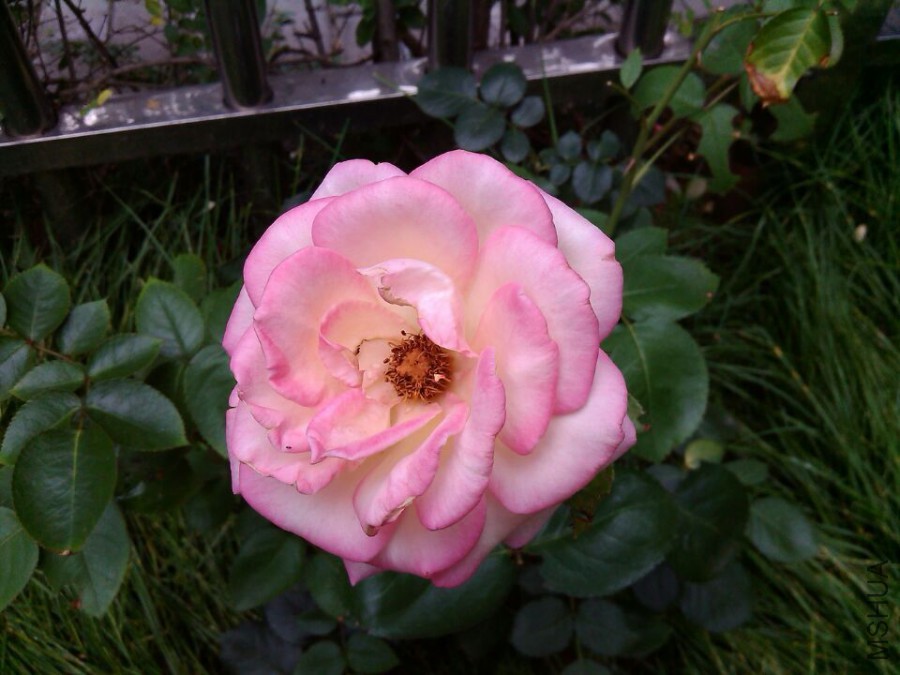QQͼƬ20150526141351.jpg