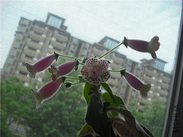 DSCF1139_����.jpg