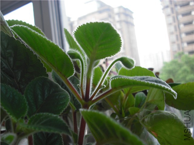 DSCF1138_����.jpg
