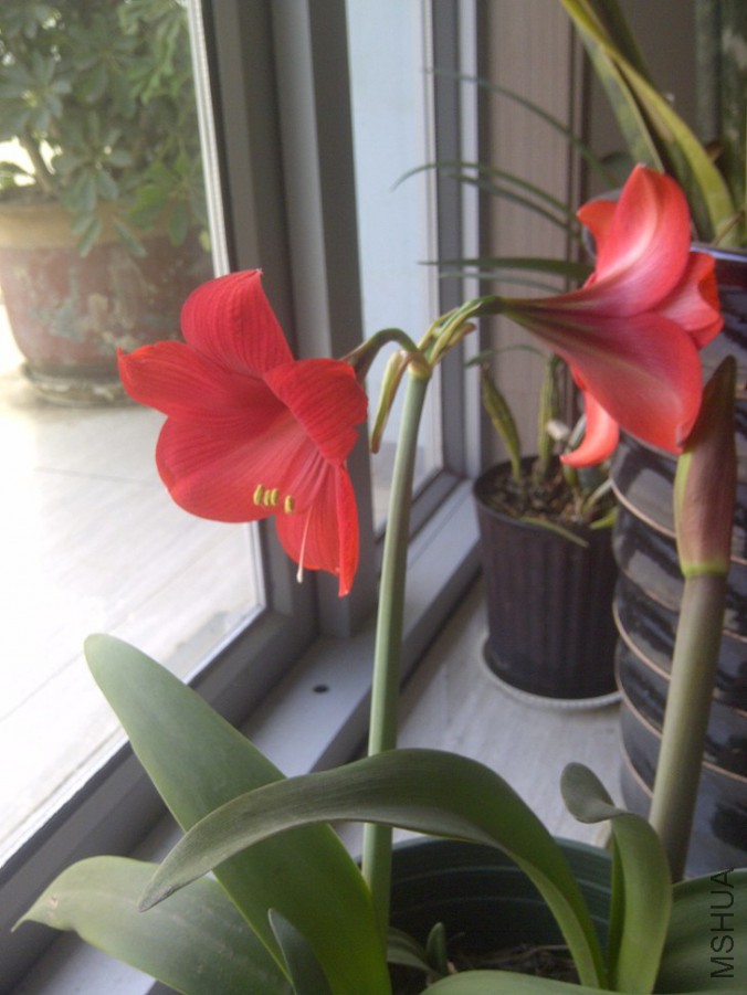 IMG-20150522-00734.jpg