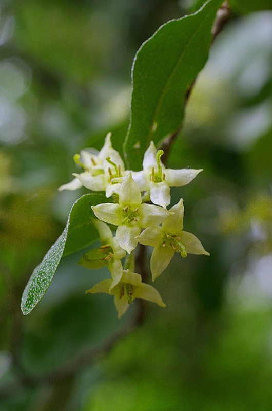 DSC_76455.jpg