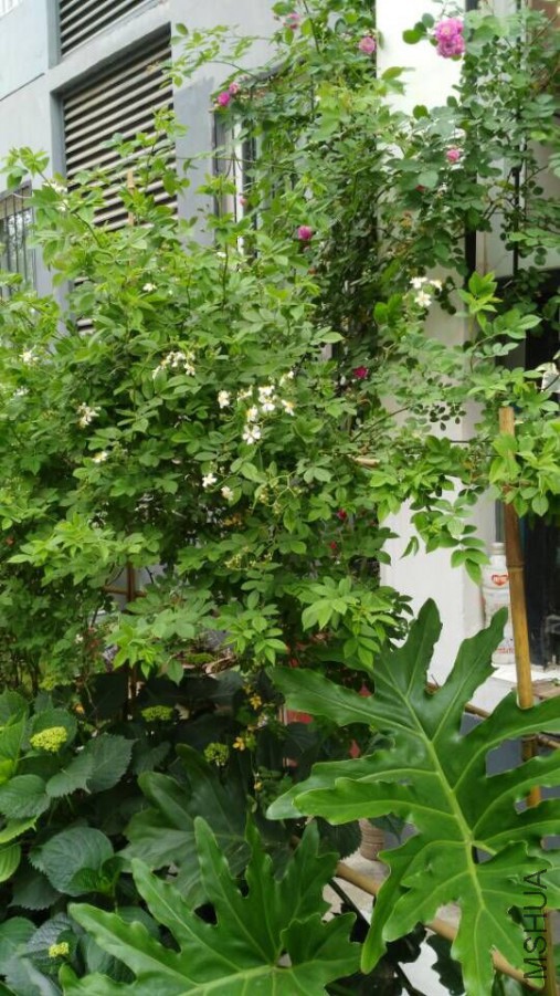QQͼƬ20150527093738.jpg