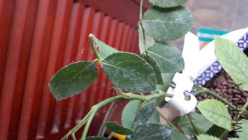 20150527_122544.jpg