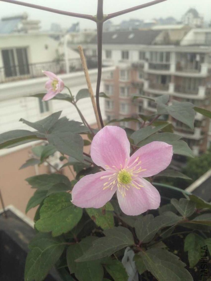 �󰮽ܳ�����Сһ�ø���5��������