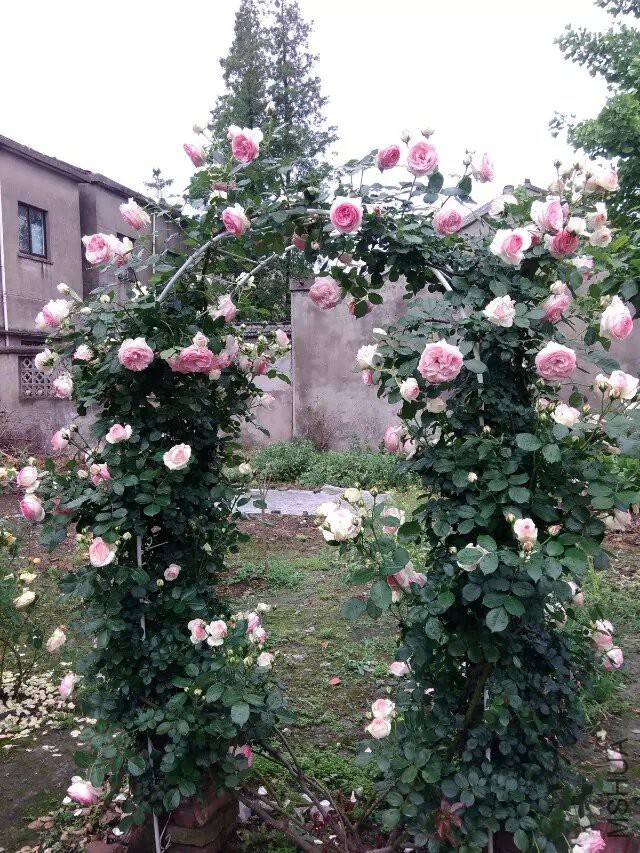 ����ɳ01.jpg
