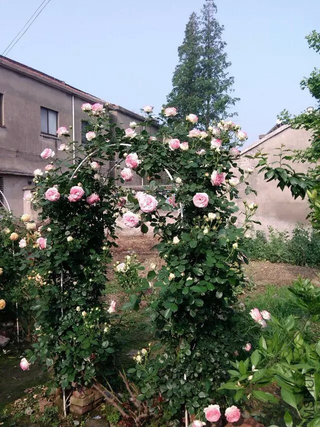 ����ɳ04.jpg
