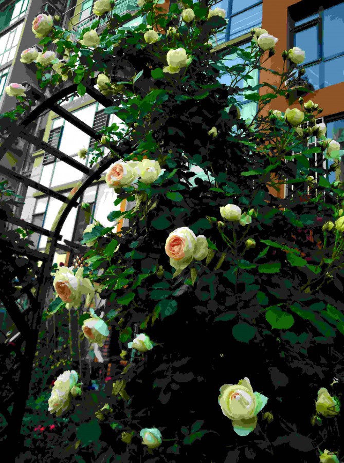 IMG_20150526_181505.jpg