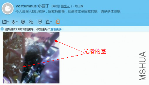 СQ��ͼ-20150528125409.png