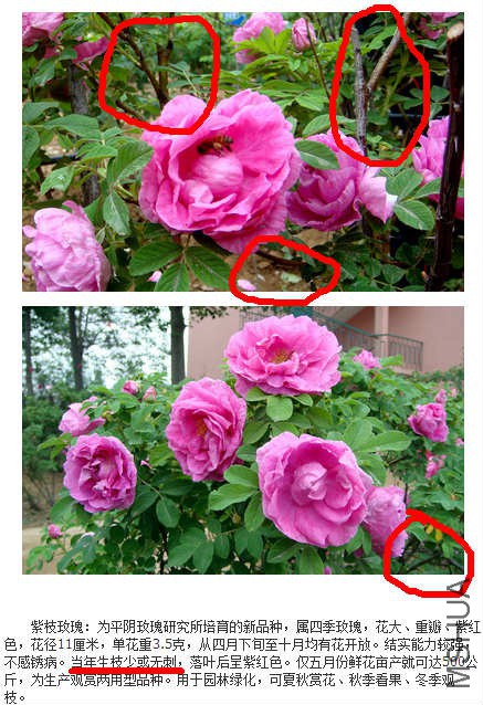 СQ��ͼ-20150528141549_meitu_1.jpg
