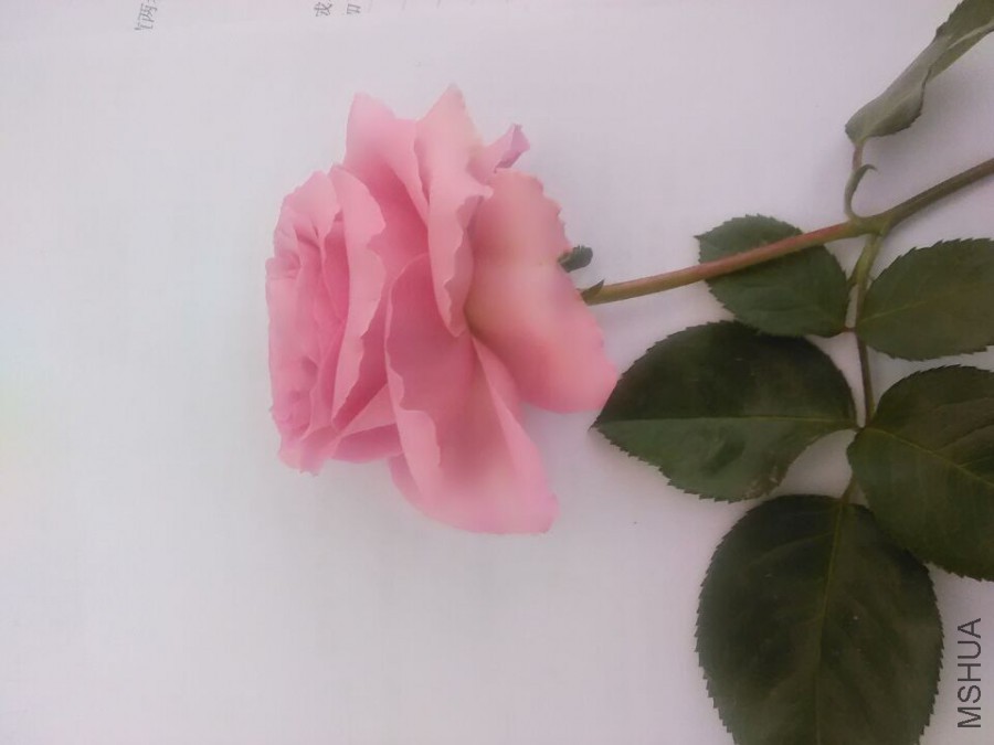 ����3