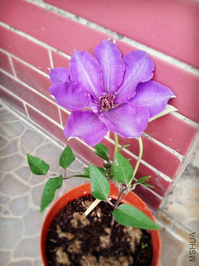 QQͼƬ20150528160913.jpg