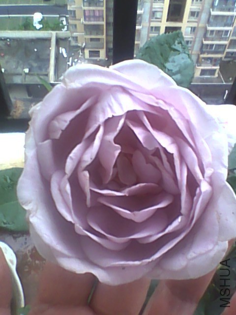 20150529154937.jpg