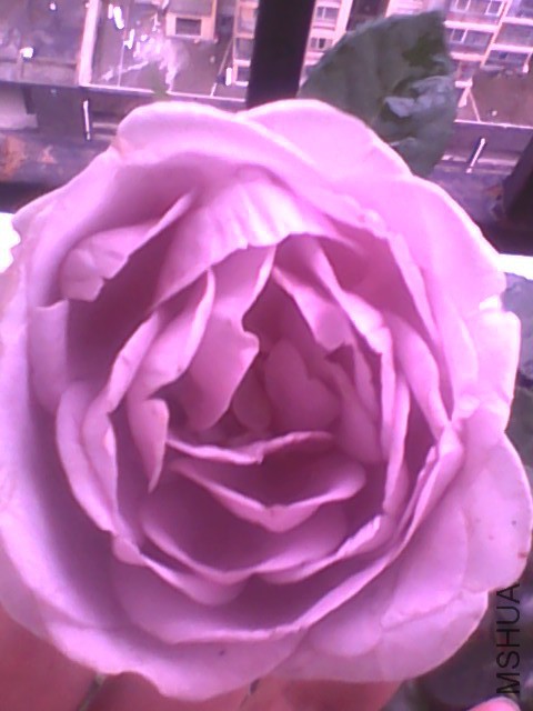 20150529155017.jpg