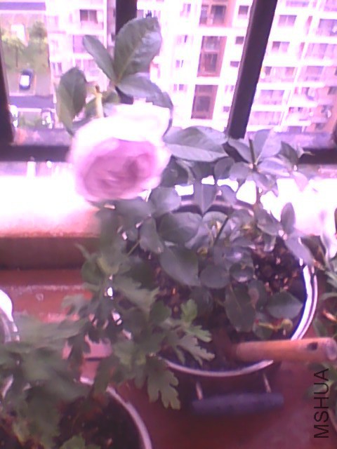 20150529155031.jpg