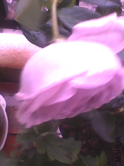 20150529155105.jpg