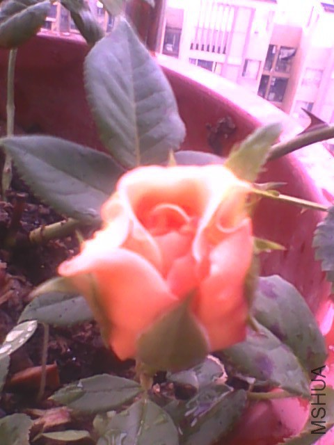 20150529155125.jpg