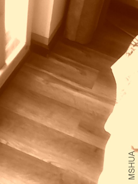 20150529155402.jpg