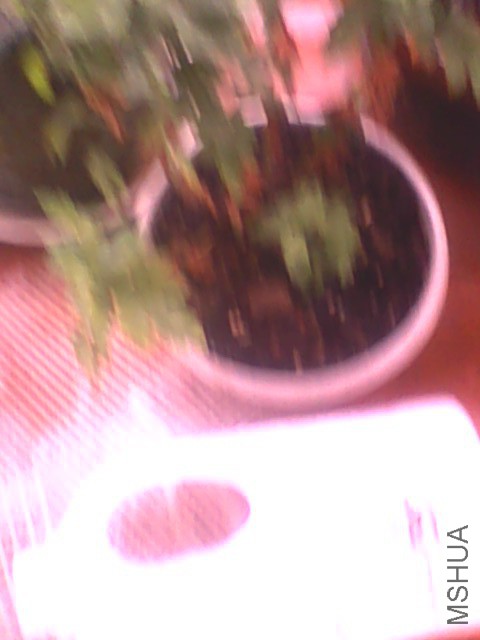 20150529155503.jpg