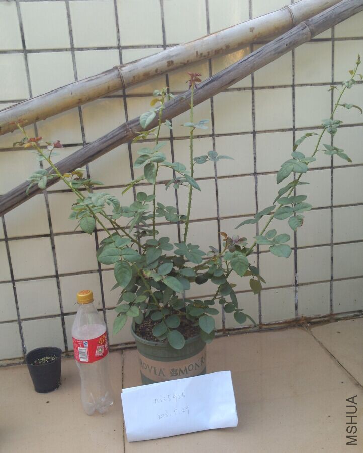 QQͼƬ20150529223947.jpg