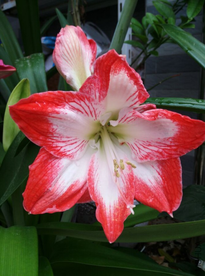 QQͼƬ20150530092301.jpg