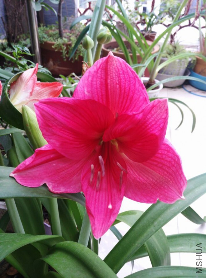 QQͼƬ20150530092309.jpg