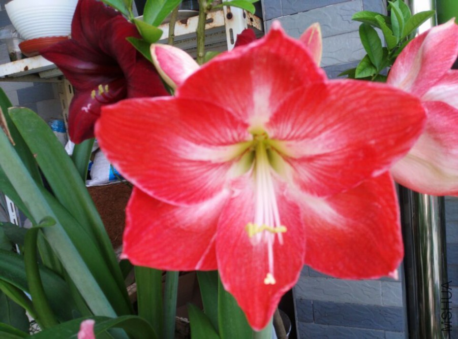 QQͼƬ20150530092326.jpg
