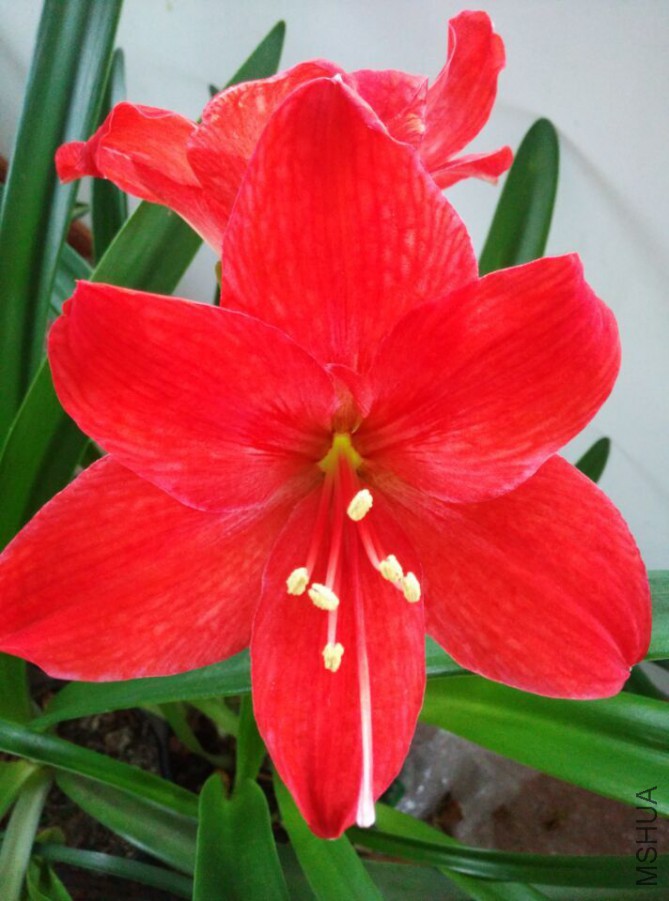 QQͼƬ20150530092334.jpg