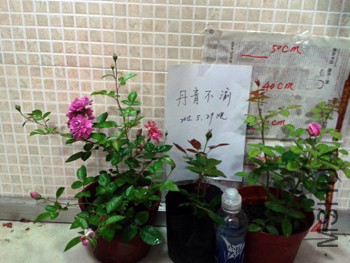 20150529_212516.jpg