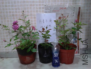 20150529_212347.jpg