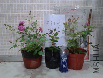20150529_212410.jpg
