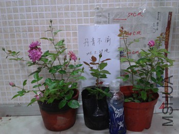 20150529_212455.jpg