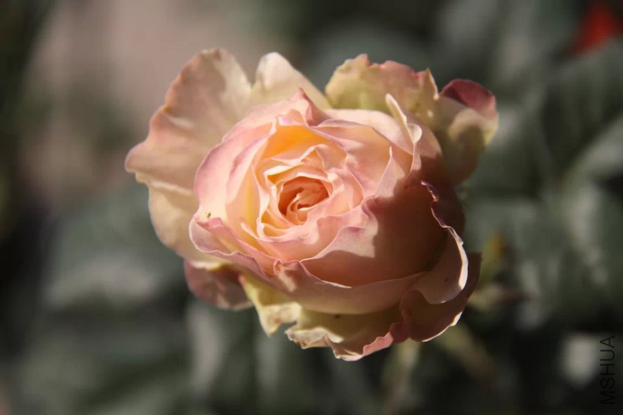 psb 11.22 1.jpg