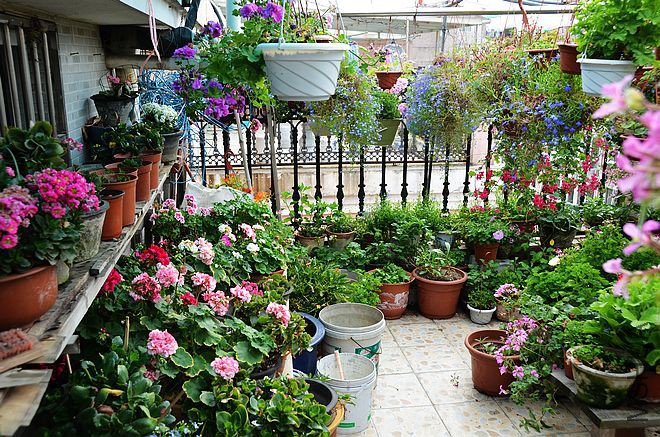 DSC_8375.jpg