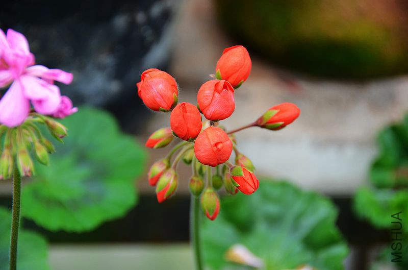 ������ (5).jpg