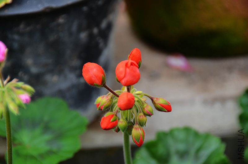 ������ (4).jpg