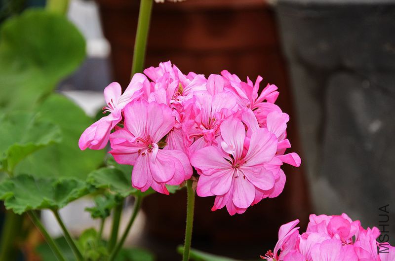 ���ƽ�� (5).jpg