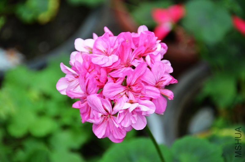 ���ƽ�� (4).jpg