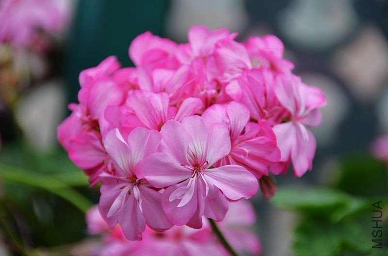 ���ƽ�� (8).jpg