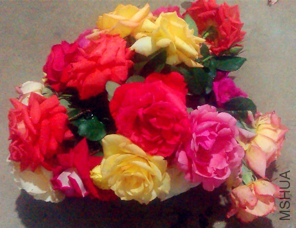 IMAG2159_����.jpg